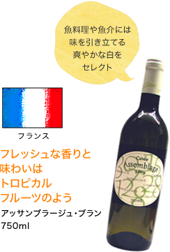 フランス フレッシュな香りと味わいはトロピカルフルーツのよう アッサンブラージュ・ブラン 750ml 魚料理や魚介には味を引き立てる爽やかな白をセレクト