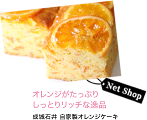 オレンジがたっぷりしっとりリッチな逸品 成城石井 自家製オレンジケーキ