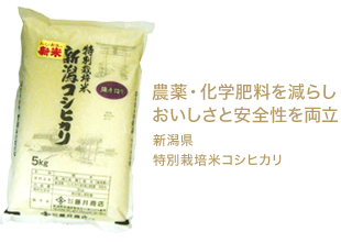 農薬・化学肥料を減らしおいしさと安全性を両立 新潟県特別栽培米コシヒカリ