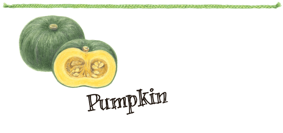 Pumpkin