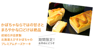 かぼちゃならではの甘さとまろやかな口どけは絶品 成城石井自家製北海道えびすかぼちゃのプレミアムチーズケーキ