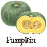 Pumpkin