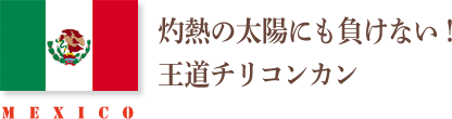 MEXICO 灼熱の太陽にも負けない！ 王道チリコンカン
