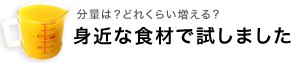 身近な食材で試しました