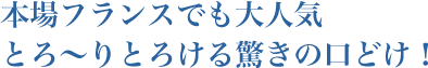 本場フランスでも大人気 とろ～りとろける驚きの口どけ！