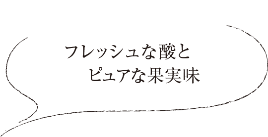 フレッシュな酸とピュアな果実味