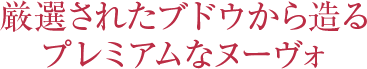 厳選されたブドウから造るプレミアムなヌーヴォ