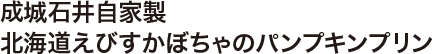 成城石井自家製 北海道えびすかぼちゃのパンプキンプリン