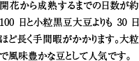 開花から成熟するまでの日数が約100日と小粒黒豆大豆よりも30日ほど長く手間暇がかかります。大粒で風味豊かな豆として人気です。