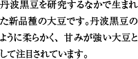 丹波黒豆を研究するなかで生まれた新品種の大豆です。丹波黒豆のように柔らかく、甘みが強い大豆として注目されています。