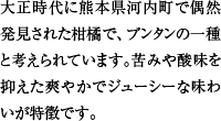 大正時代に熊本県河内町で偶然発見された柑橘で、ブンタンの一種と考えられています。苦みや酸味を抑えた爽やかでジューシーな味わいが特徴です。