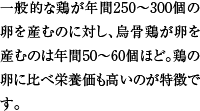 一般的な鶏が年間250～300個の卵を産むのに対し、烏骨鶏が卵を産むのは年間50～60個ほど。鶏の卵に比べ栄養価も高いのが特徴です。