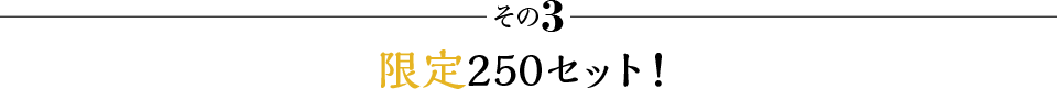 その3 限定250セット！