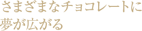 さまざまなチョコレートに夢が広がる