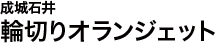 成城石井 輪切りオランジェット