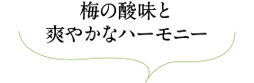 梅の酸味と爽やかなハーモニー