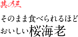 其の三 そのまま食べられるほどおいしい桜海老