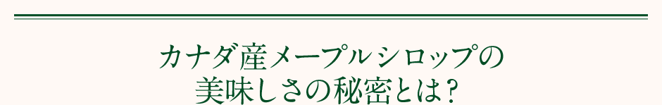 カナダ産メープルシロップの美味しさの秘密とは？