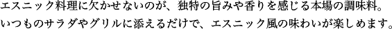 エスニック料理に欠かせないのが、独特の旨みや香りを感じる本場の調味料。いつものサラダやグリルに添えるだけで、エスニック風の味わいが楽しめます。