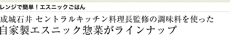 レンジで簡単！エスニックごはん 成城石井 セントラルキッチン料理長監修の調味料を使った自家製エスニック惣菜がラインナップ