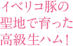 イベリコ豚の聖地で育った高級生ハム！