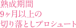 熟成期間9ヶ月以上の切り落としプロシュート