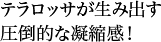 テラロッサが生み出す圧倒的な凝縮感！