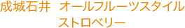 成城石井  オールフルーツスタイル ストロベリー