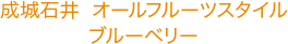 成城石井  オールフルーツスタイル ブルーベリー