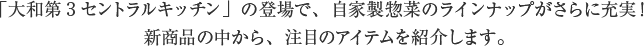 「大和第3セントラルキッチン」の登場で、自家製惣菜のラインナップがさらに充実！新商品の中から、注目のアイテムを紹介します。