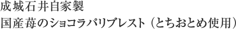 成城石井自家製 国産苺のショコラパリブレスト （とちおとめ使用）