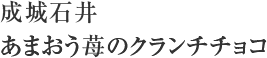 成城石井 あまおう苺のクランチチョコ