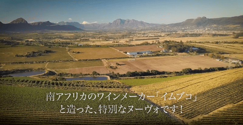 南アフリカのワインメーカー「イムブコ」 と造った、特別なヌーヴォです!