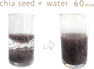 chia seed + water 60min